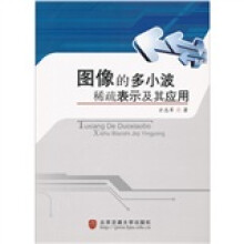图像的多小波稀疏表示及其应用