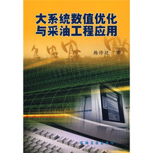 大系统数值优化与采油工程应用