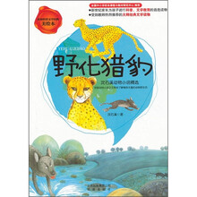 野化猎豹：沈石溪动物小说精选（美绘本）