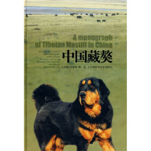 中国藏獒