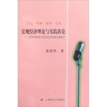 宏观经济理论与实践新论：政府的职能与宏观经济疑难问题探讨