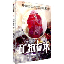 小博士文库：矿物标本（套装上下册）