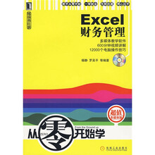 Excel财务管理（附光盘）