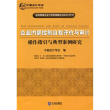 企业内部控制自我评价与审计:操作指引与典型案例研究
