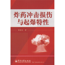 炸药冲击损伤与起爆特性