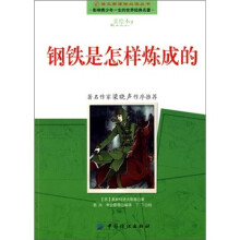 钢铁是怎样炼成的