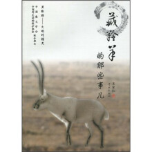 藏羚羊的那些事儿