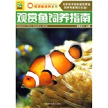 观赏鱼饲养指南