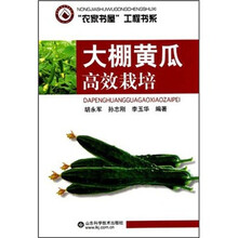 大棚黄瓜高效栽培