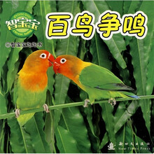 智宝宝：百鸟争鸣