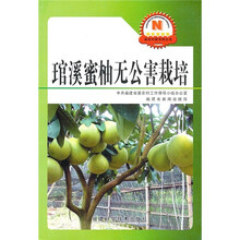 琯溪密柚无公害栽培