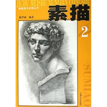 基础美术训练丛书：素描2