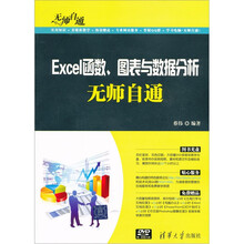 无师自通：Excel函数、图表与数据分析无师自通（附DVD-ROM光盘1张）