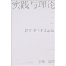 实践与理论：制度变迁主要流派
