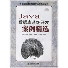 数据库管理系统开发从技术到实践:Java数据库系统开发案例精选(附光盘)