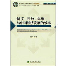 制度、开放、集聚与中国经济发展的效率
