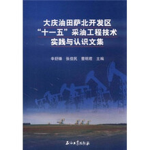 大庆油田萨北开发区“十一五”采油工程技术实践与认识文集