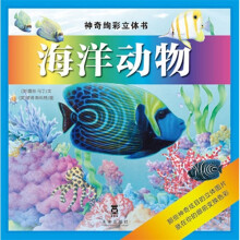 神奇绚彩立体书系列:海洋动物