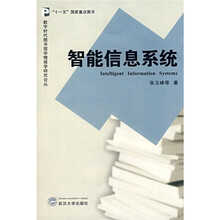 智能信息系统