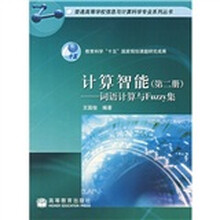 计算智能（第2册）：词语计算与Fuzzy集