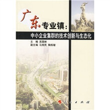 广东专业镇:中小企业集群的技术创新与生态化