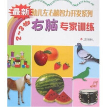 最新幼儿左右脑智力开发系列：右脑专家训练（2-3岁）