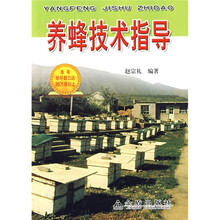 养蜂技术指导