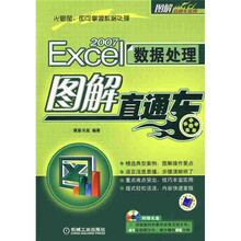 Excel 2007数据处理图解直通车(附光盘1张)