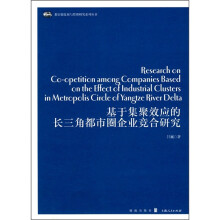 基于集聚效应的长三角都市圈内企业竞合研究
