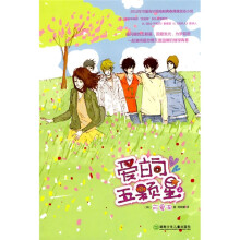 爱的五颗星2
