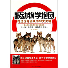 跟动物学抱团：打造优秀团队的10大关键