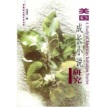 美国成长小说研究