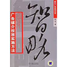 智略：广告媒介投放实施方法
