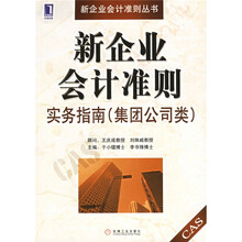 新企业会计准则实务指南(集团公司类)
