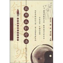 实用头针疗法