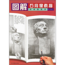 绘画跟我学：图解石膏像素描