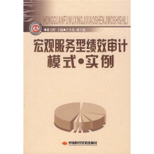 宏观服务型绩效审计模式·实例