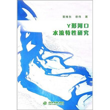 Y 形河口水流特性研究