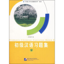 初级汉语习题集(下)