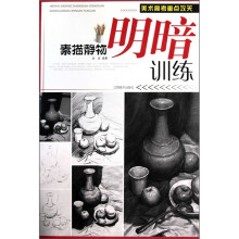素描静物明暗训练