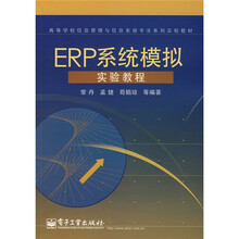 高等学校信息管理与信息系统专业系列实验教材：ERP系统模拟实验教程