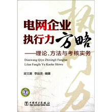 电网企业执行力方略：理论、方法与考核实务