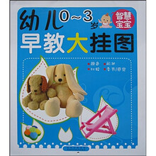 幼儿早教大挂图:智慧宝宝(0-3岁)