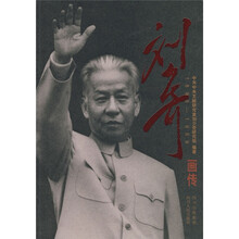 刘少奇画传