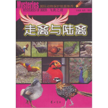飞禽之谜：走禽与陆禽