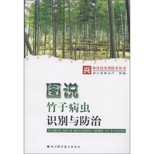 兴林富民实用技术丛书：图说竹子病虫识别与防治