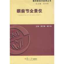 眼前节全景仪