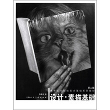 高等艺术院校美术基础系列教材:设计·素描基础(第2版)