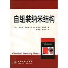 自组装纳米结构