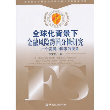全球化背景下金融风险的跨国分摊研究：一个发展中国家的视角